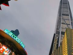 -平安金融中心云际观光层
