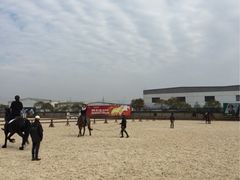 iphone_upload_pic-松声马术俱乐部