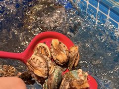 -焰江山海鲜牛排烤肉自助(锦华万达二星店)