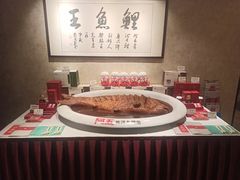 红烧黄河鲤鱼-阿五黄河大鲤鱼(纬三路店)
