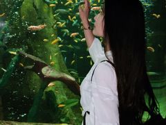 -合肥海洋世界