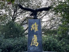 -老山国家森林公园