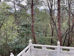 -青龙山国家森林公园