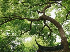 -城隍阁