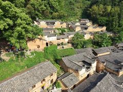 -杨家堂村