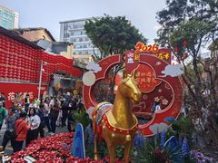 -越秀西湖花市(广州城市广场花卉店)