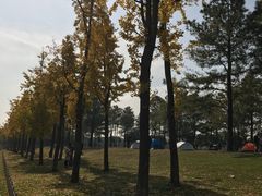 -美兰湖景区