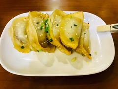 鲜肉锅贴-小姜锅贴(凤凰街店)