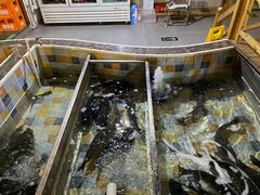 -缘福乡村铁锅炖民宿(八达岭店)