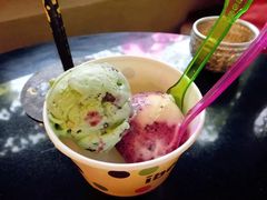 -莓园冰淇淋店