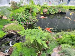 -罗红摄影艺术馆