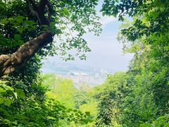 -紫金山山顶公园