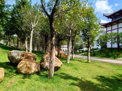 -牛岗山公园