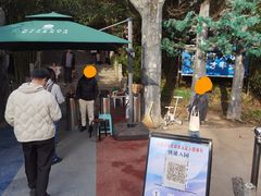 -王顺山国家森林公园