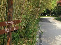 -金鸡湖桃花岛