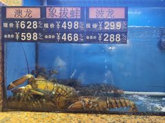 -齐家花园大酒店(宝山店)