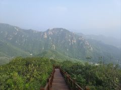 -大岭沟猕猴桃谷风景区