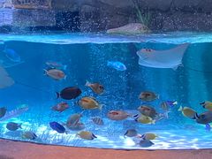 -沈阳海洋探索中心