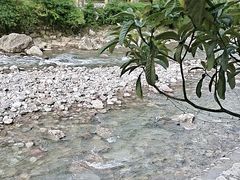 -华冠悠岚·庭院餐厅(青城后山店)