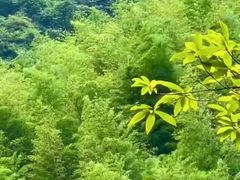 -千泷沟大瀑布旅游区