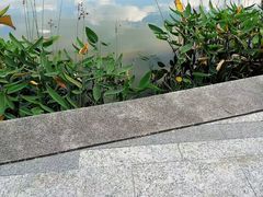 -金砂公园
