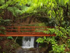 -三千院