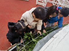 -徐汇区陇龙幼稚园