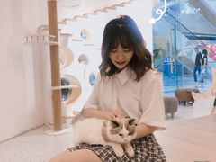 -猫域·湾主题猫咖·宠物吧(南坪城市广场店)