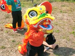 -樂桃源奉贤黄桃种植采摘基地