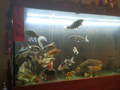 -逸栈养生SPA(望京店)