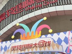 -灵玲国际马戏城