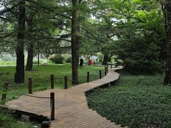 -北京植物园-展览温室