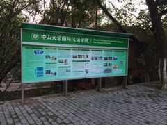 -中山大学学者灵芝(园南路店)