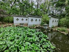 -深圳国际园林花卉博览园