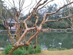 -西湖外事游船(花港观鱼码头)