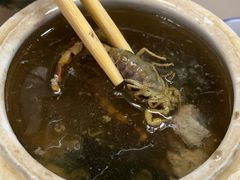 蝎子党参乌鸡汤-国英炖品店(甲子路店)