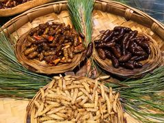 -昆虫窝子·特色云南菜(拓东路总店)