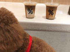 -% Arabica阿拉比卡咖啡(深圳湾万象城店)