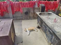 -终南山南五台景区