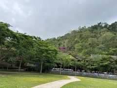 -野象谷景区