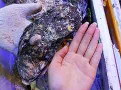 -东记炭炉·海鲜鸡煲(龙华店)