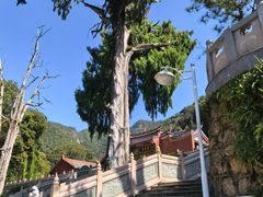 -灵光寺