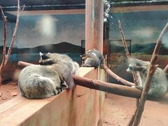 -昆明动物园