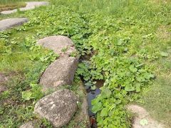 -维乐口腔医院(福清院)