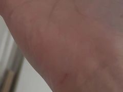 -纳吉亚猫专科动物医院·北北分院