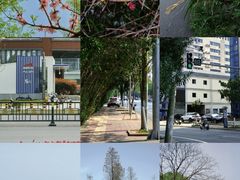 -艾溪湖湿地公园