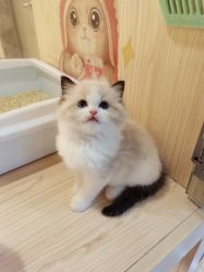 -宸山医美·变美艺术馆