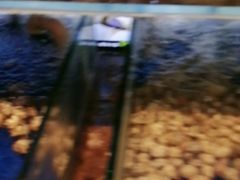 -尚宴牛特鲜自助(太原街万达店)