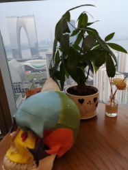 -松和日式美容整骨