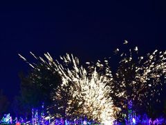 -济南国际园博园